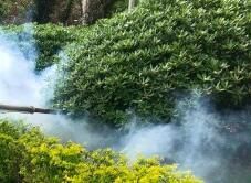 四害消殺完成后，需要做哪些鞏固工作呢？